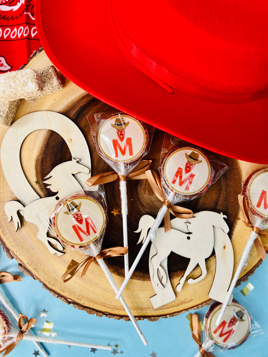 Western Themed Party Favors