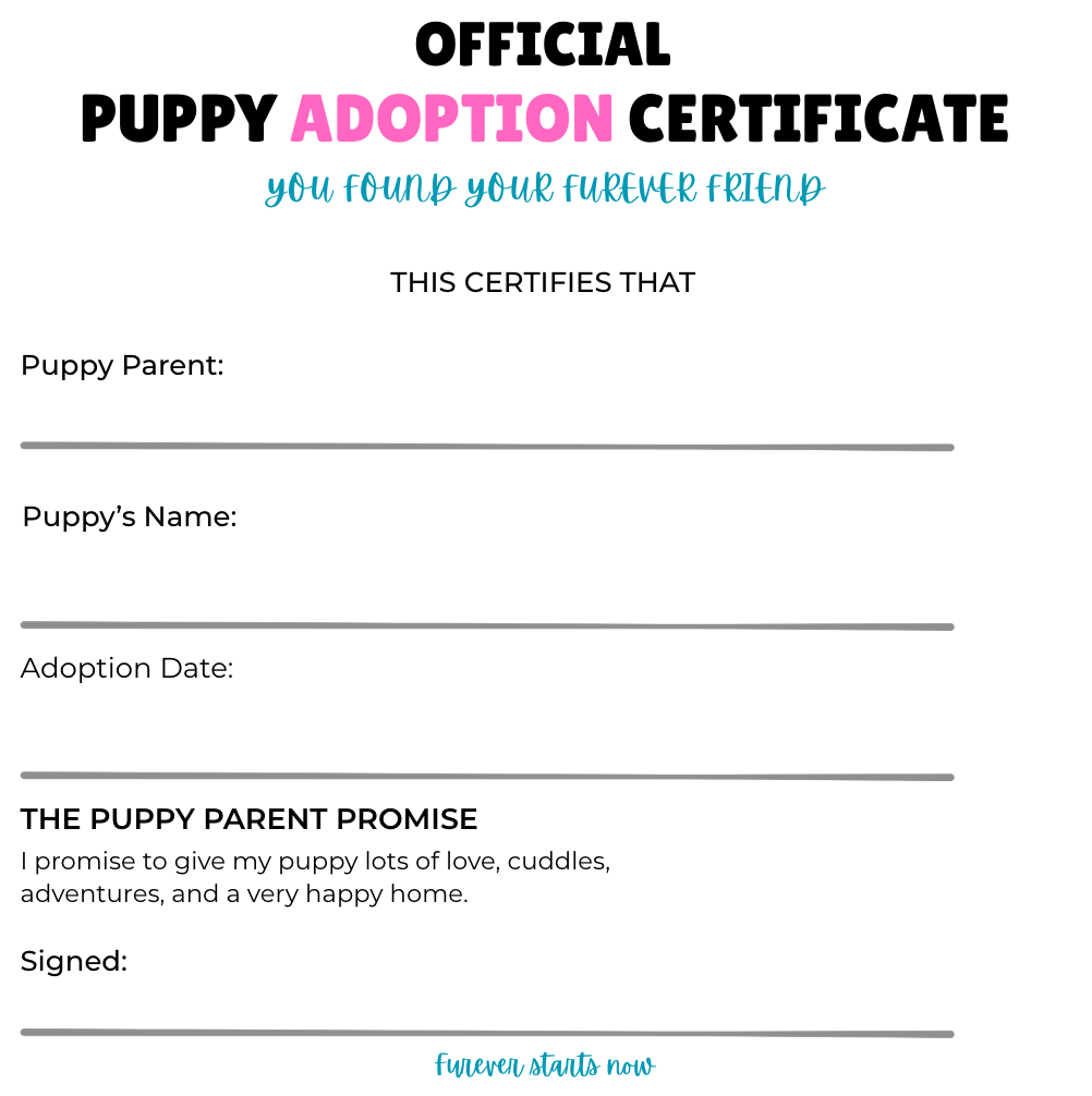 Official Puppy Adoption Certificate template with fields for Puppy Parent, Puppy's Name, Adoption Date, and a puppy parent promise, on a white background with black, pink, and blue text.