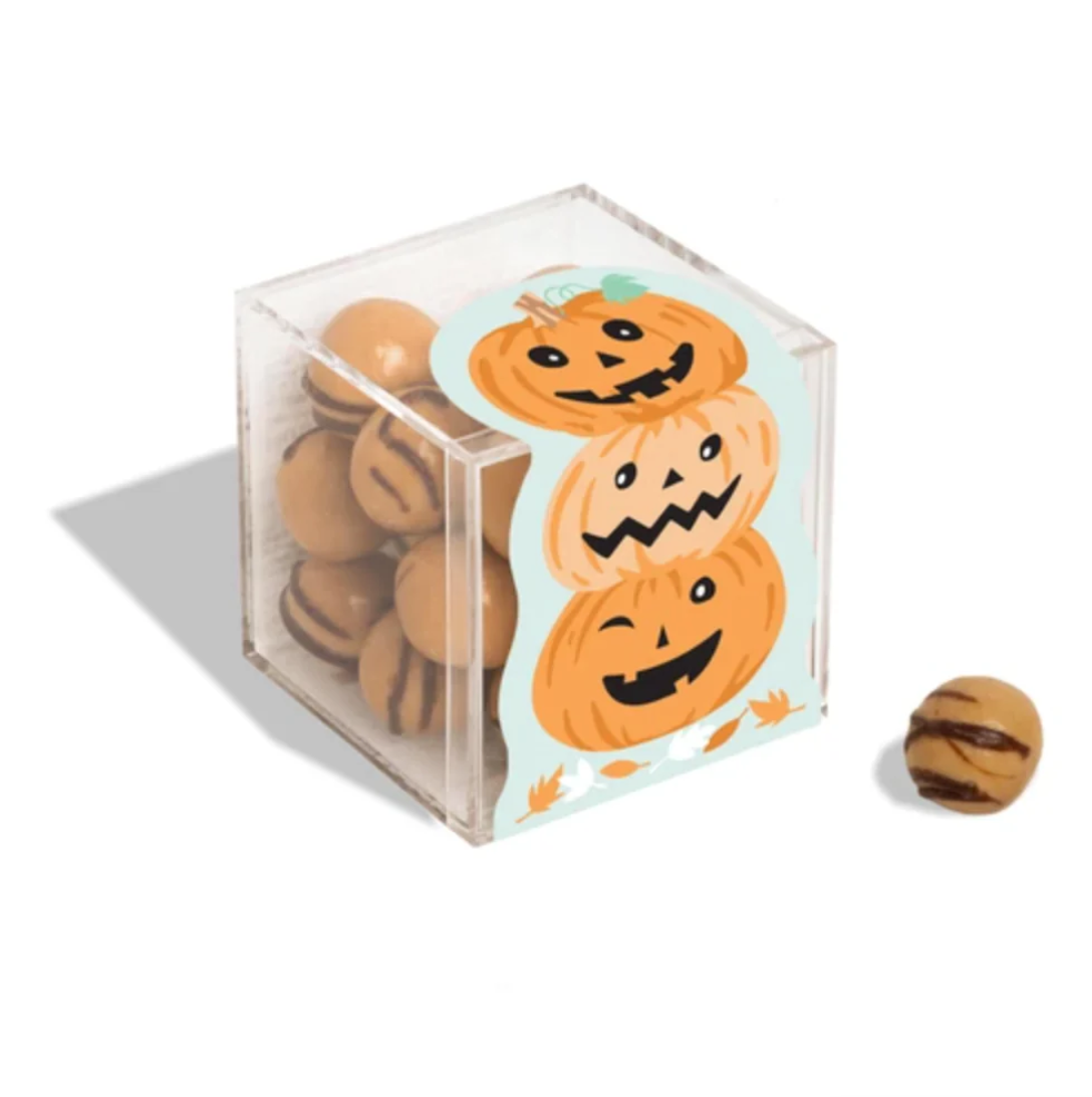 Pre-Made Boo Kit