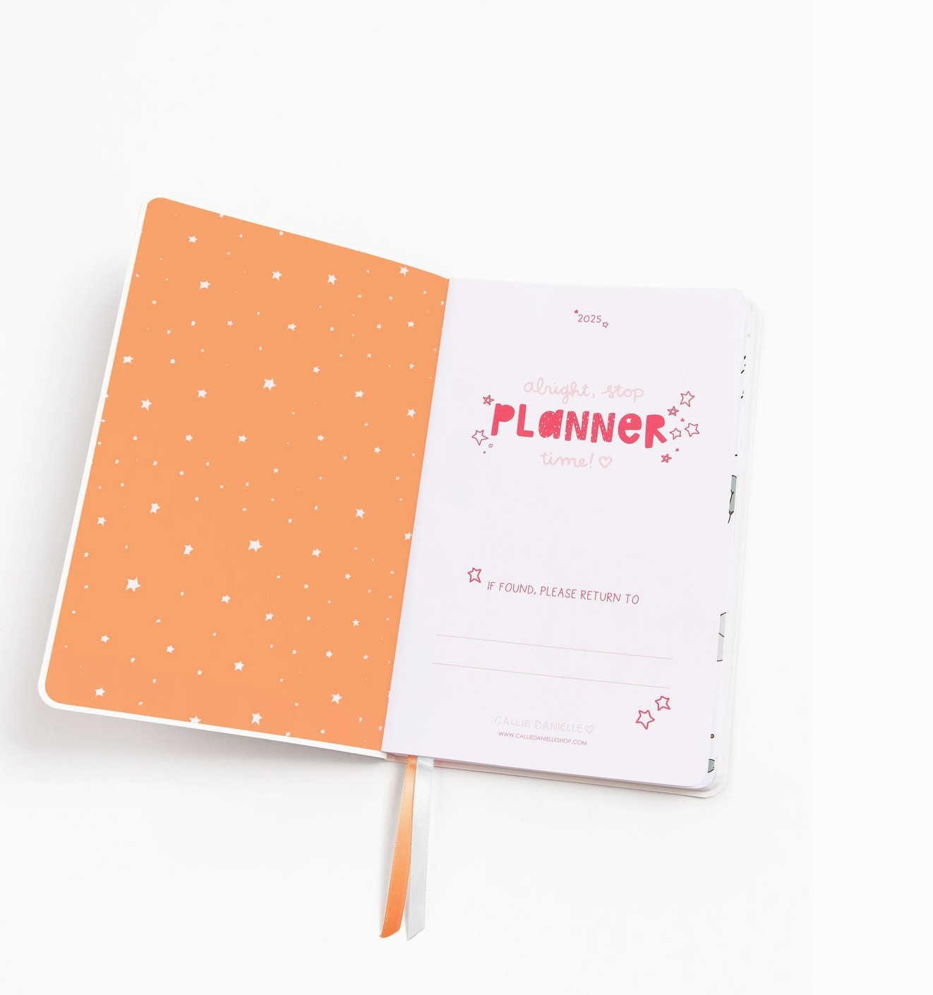 Wavy Lines Petite Planner : 2025 Calendar Year