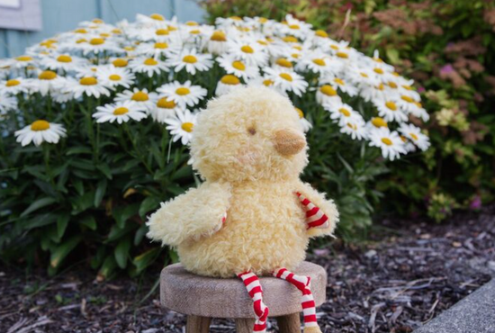 Load image into Gallery viewer, Wee Clucky Little the Chicken
