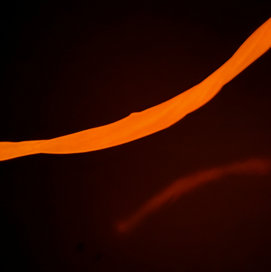 Gootonium: Glowing Orange Solar Putty