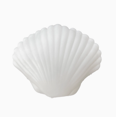 White shell-shaped object on a white background