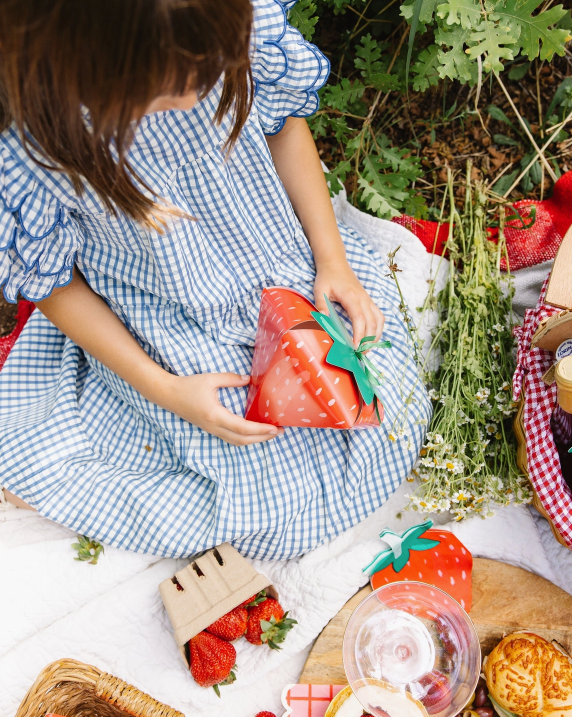 Child in a blue checkered dress holding a strawberry-shaped bag at a picnic.