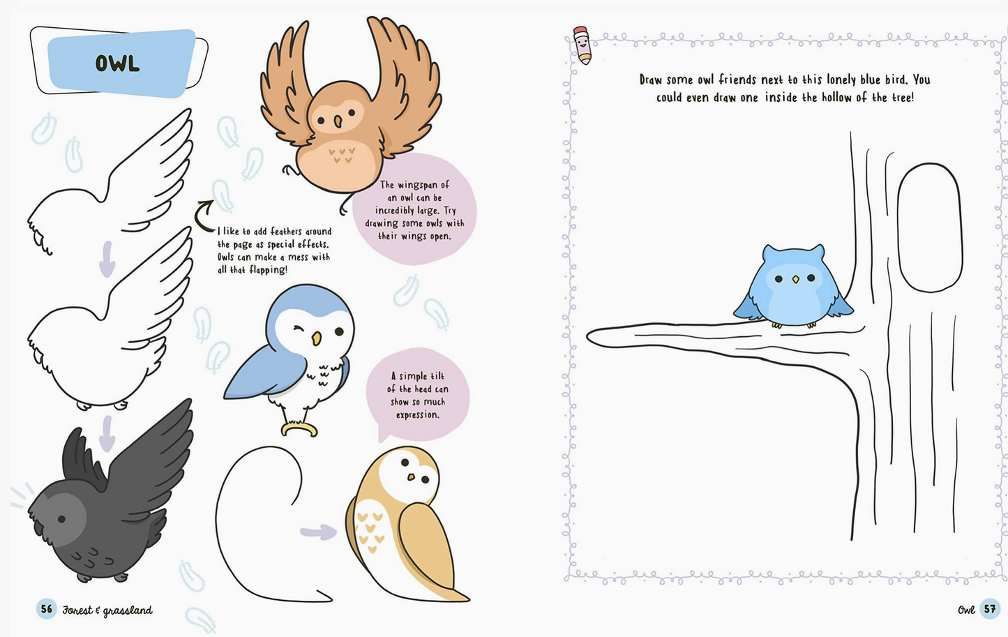 Illustrated page from a children's book showing different types of owls and a tree branch.