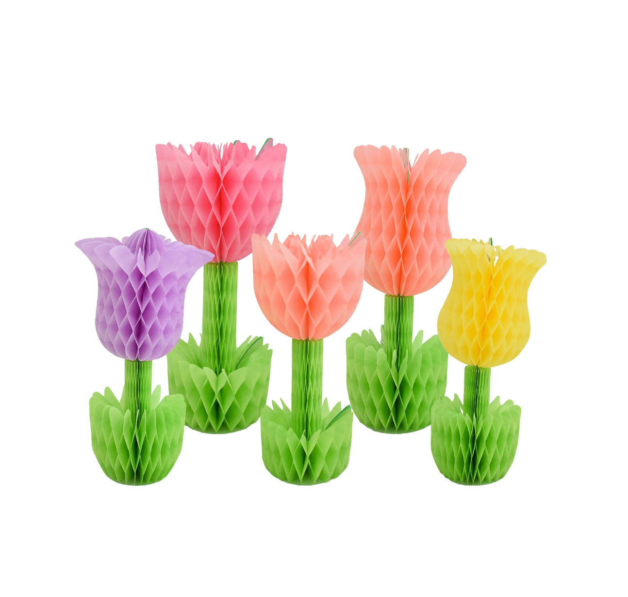 Colorful honeycomb tulip decorations on a white background