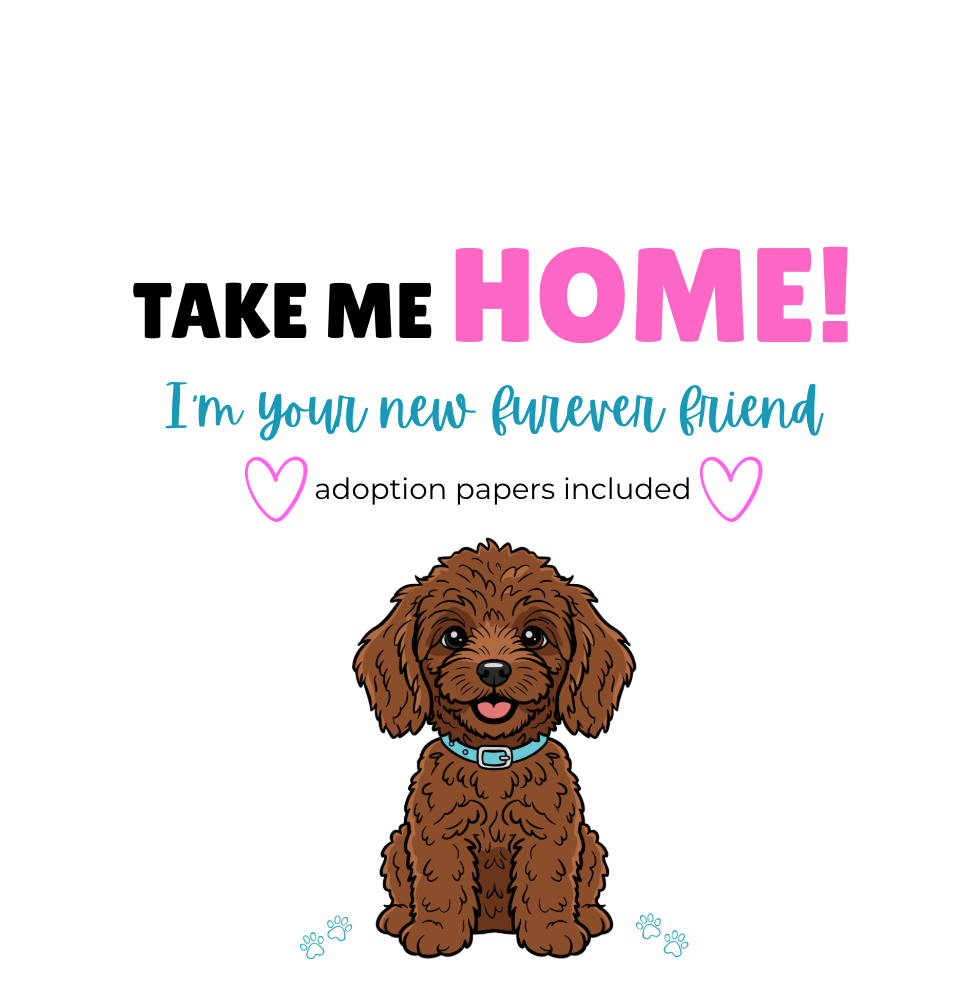 A digital graphic design for pet adoption papers featuring a cartoon brown poodle with a blue collar, accompanied by the text 'TAKE ME HOME! I'm your new forever friend' and 'adoption papers included' with pink hearts.
