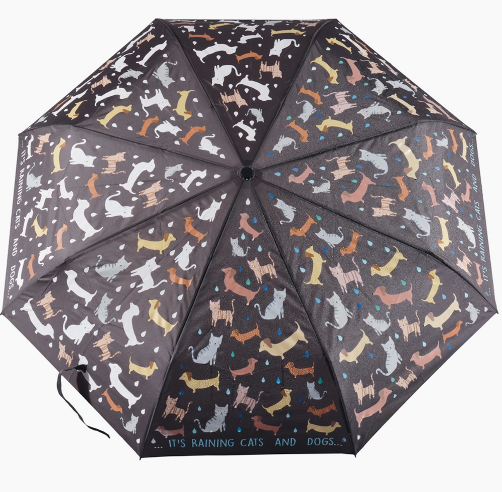 Raining Cats & Dogs Color Changing Umbrella