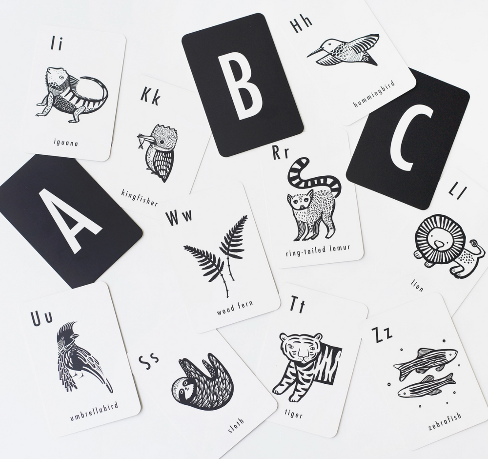 Jungle Alphabet Cards