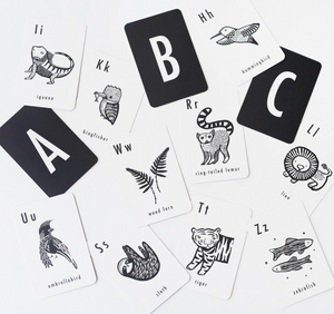 
            
                Load image into Gallery viewer, Jungle Alphabet Cards
            
        