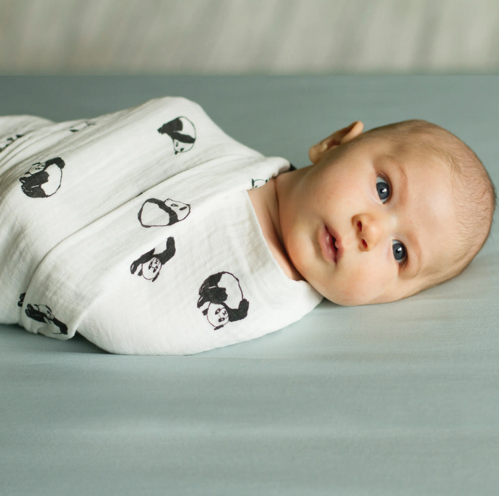 
            
                Load image into Gallery viewer, BedVoyage Rayon Bamboo Panda Baby Swaddle
            
        