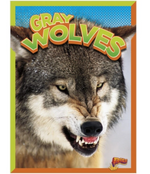 Gray Wolves - Paperback