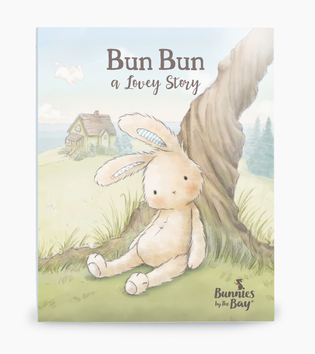 Bun Bun A Lovey Story Book