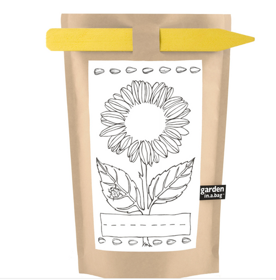 Load image into Gallery viewer, Kids Garden in a Bag | Mini Sunflower
