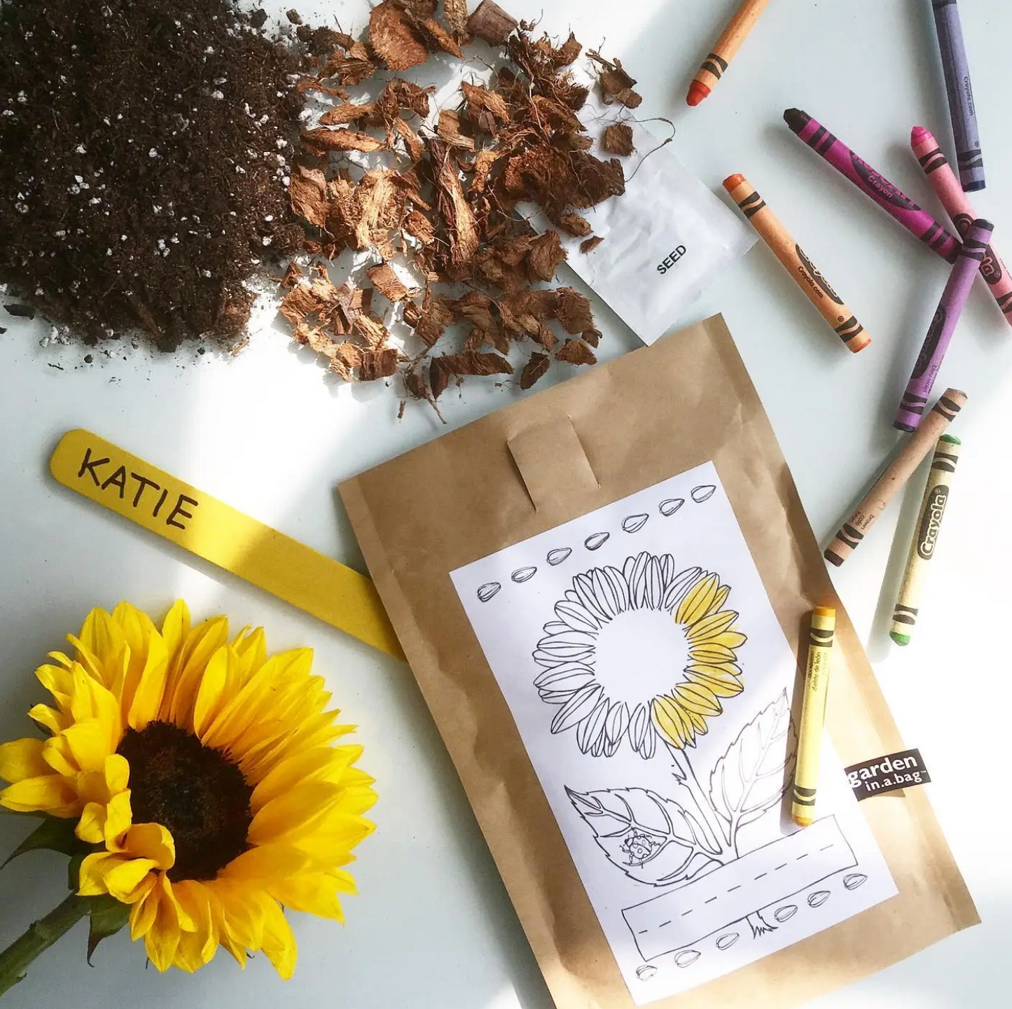 Load image into Gallery viewer, Kids Garden in a Bag | Mini Sunflower
