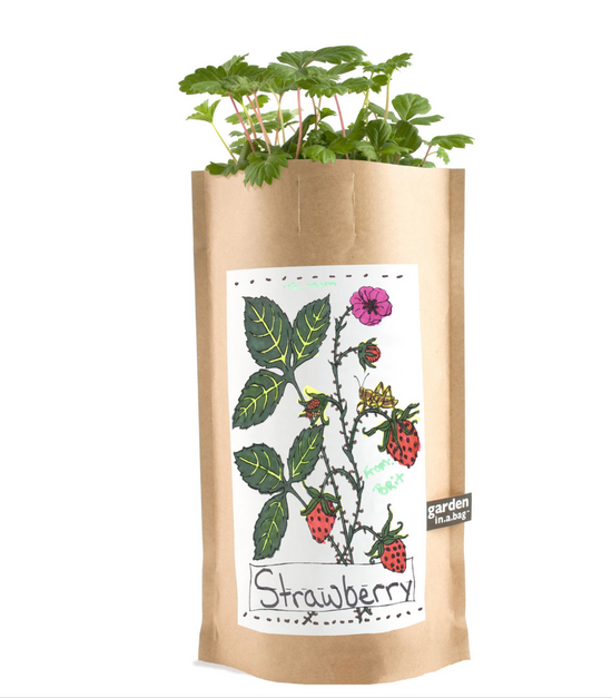 Load image into Gallery viewer, Kids Garden in a Bag | Strawberry
