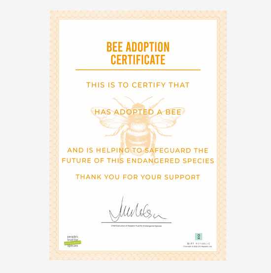 Adopt A Bee