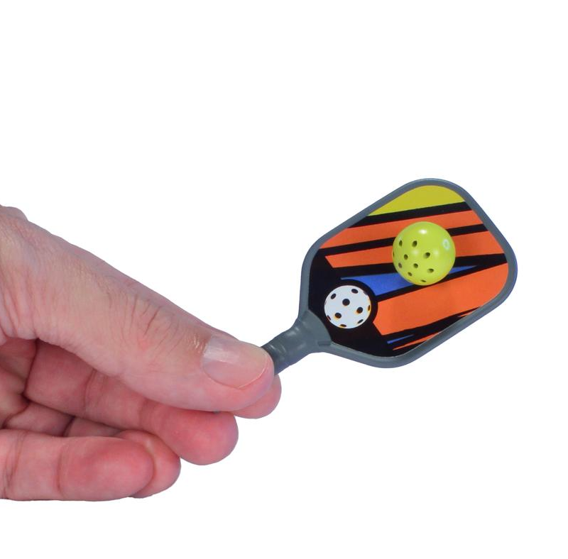 
            
                Load image into Gallery viewer, World&amp;#39;s Smallest Pickleball Game
            
        