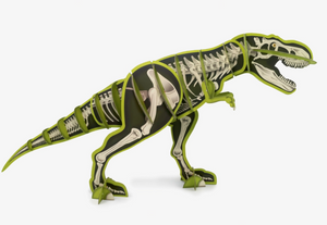 Green Dinosaur